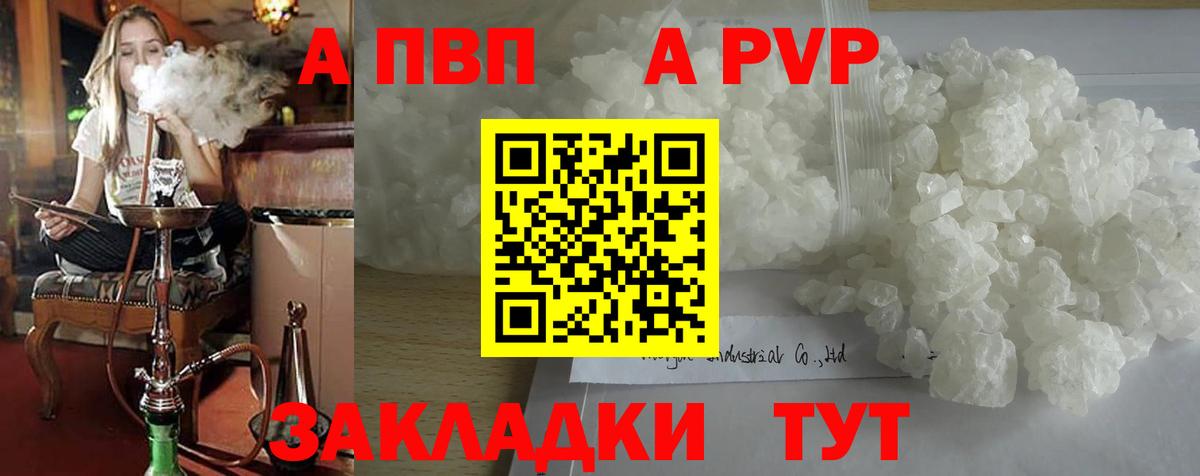 Альфа ПВП СК КРИС Вышний Волочёк