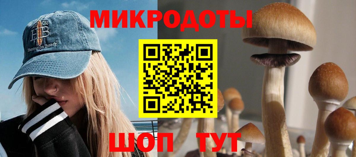 Псилоцибиновые грибы Psilocybine cubensis Вышний Волочёк